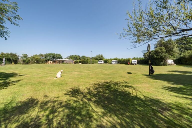 contact-us-today-dorset-escapes-experience-nature